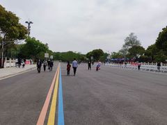-羊山湖公园