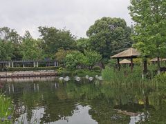 -成飞公园