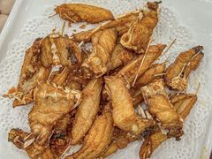 -正能量脆肉鲩火锅