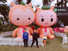 -上海长兴岛郊野公园