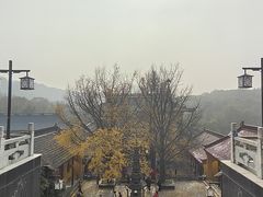 -高旻寺