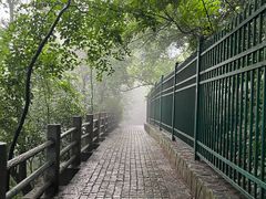 -紫金山山顶公园