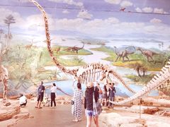 -自贡恐龙博物馆