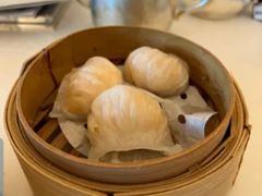 -美心皇宫(屯门大会堂店)