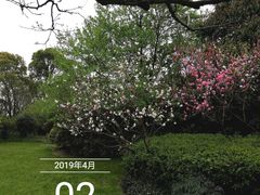 -桃花岛景观公园