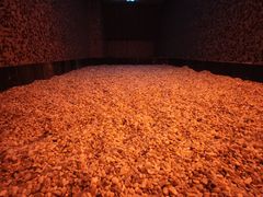 -汤悦温泉酒店(成都春熙路天府广场店)