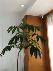 -HEYAN荷妍专业脱毛连锁机构