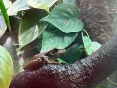 -广州长隆飞鸟乐园