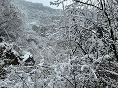 -秦岭终南山世界地质公园翠华山景区