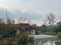 -东南大学(九龙湖校区)