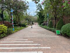 -美的鹭湖探索王国