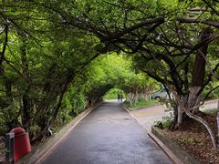-烟台山景区