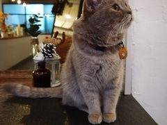 -MIMO CAFE(沙头角店)