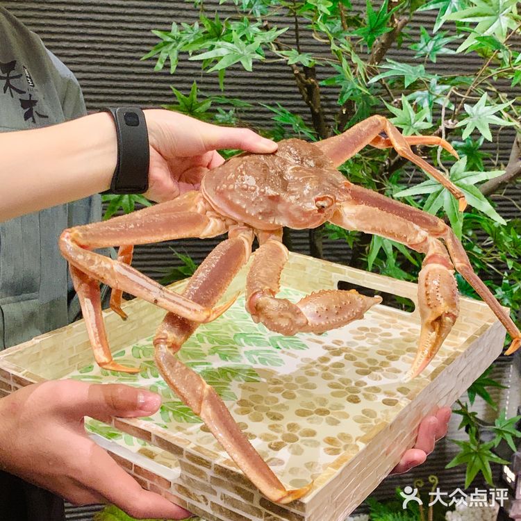 深圳日料 | 别墅独栋庭院风的日料Omakase，必须码起来