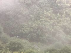 -宁波五龙潭景区