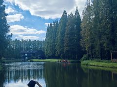 -黄海国家森林公园