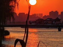 -金鸡湖景区