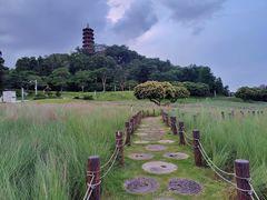 -红花山公园