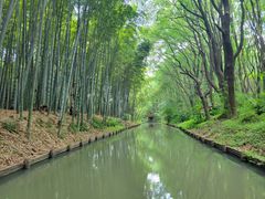 -同里国家湿地公园