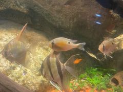 -太平洋海底世界