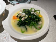 上汤菠菜-维园悦谱·海派家常菜(乌鲁木齐南路店)