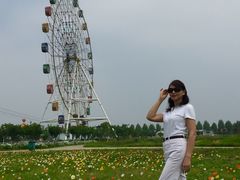 -金卉庄园