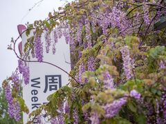 -尚贤河湿地