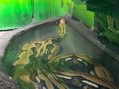 -贵州森林野生动物园