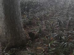 -苏堤停车场