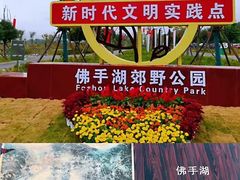 -佛手湖郊野公园