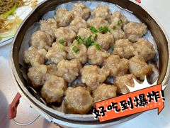 -新楚记