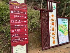 -广州白江湖森林公园