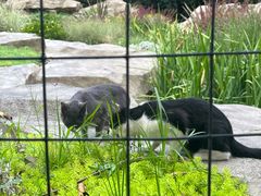 -成都市活水公园