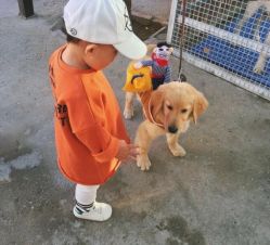 -萌宠亲子动物乐园(槐房万达店)