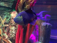 -沈阳海洋探索中心