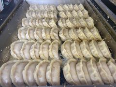 -周震馄饨