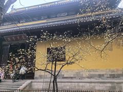 -西园戒幢律寺