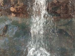 -天女山森林公园
