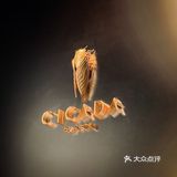 我愿称之为广州湘菜天花板|CICADA宋·湘