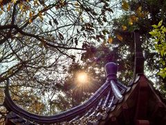 -句容茅山景区