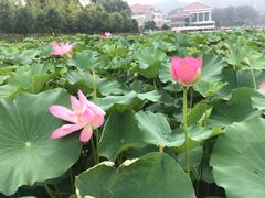 -北京宽沟会议中心