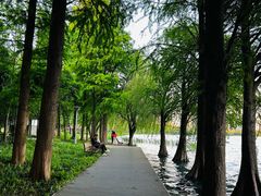 -高子水居
