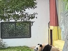 -杭州野生动物世界