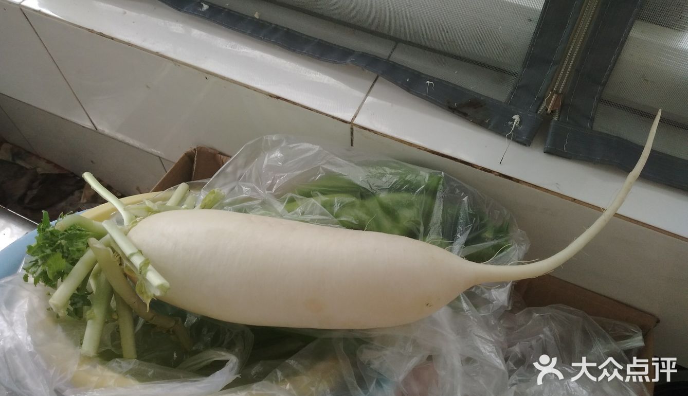 20191110001西葫白萝卜丝虾仁鸡蛋馅饺子煎吃菜谱