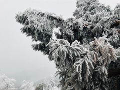 -南岳衡山风景名胜区