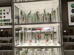 -北京中医药大学-中医药博物馆