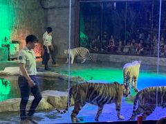 -清迈夜间动物园