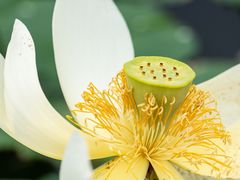 -木塔寺遗址生态公园