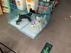 -哈尼爱宠·宠物生活会馆