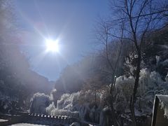 -伏羲大峡谷